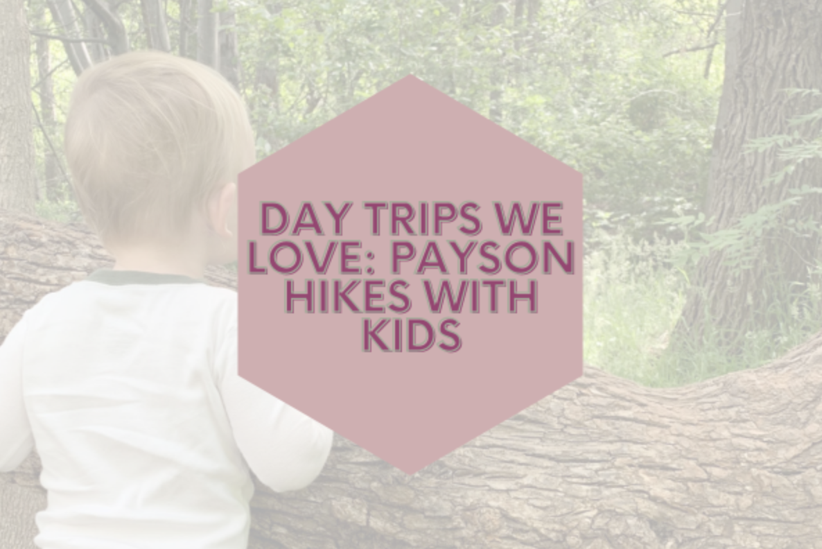 Day Trips We Love - Payson Hikes With Kids